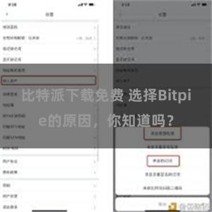 比特派下载免费 选择Bitpie的原因，你知道吗？