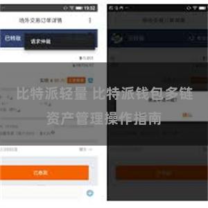 比特派轻量 比特派钱包多链资产管理操作指南