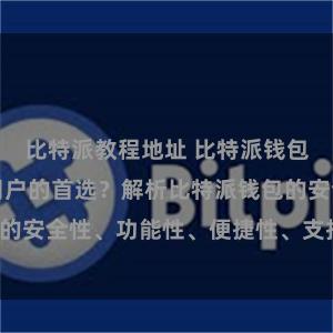比特派教程地址 比特派钱包为何是专业用户的首选？解析比特派钱包的安全性、功能性、便捷性、支持性等优势。