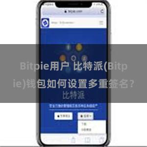 Bitpie用户 比特派(Bitpie)钱包如何设置多重签名？