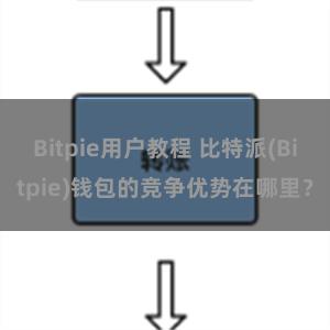 Bitpie用户教程 比特派(Bitpie)钱包的竞争优势在哪里？