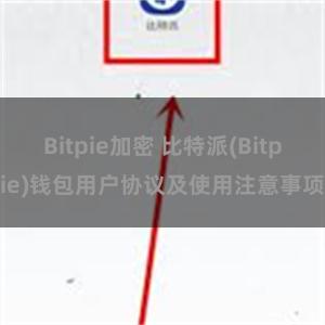 Bitpie加密 比特派(Bitpie)钱包用户协议及使用注意事项