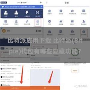 比特派应用下载 比特派(Bitpie)钱包有哪些隐藏功能？