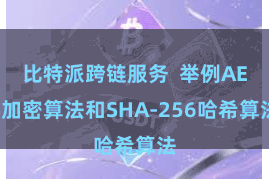 比特派跨链服务  举例AES加密算法和SHA-256哈希算法