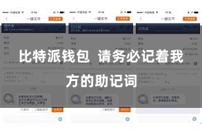 比特派钱包  请务必记着我方的助记词