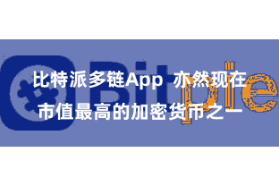 比特派多链App  亦然现在市值最高的加密货币之一