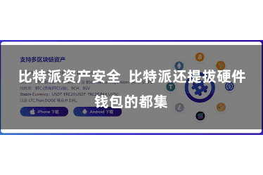 比特派资产安全  比特派还提拔硬件钱包的都集