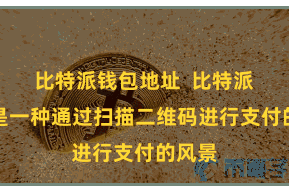 比特派钱包地址  比特派扫码是一种通过扫描二维码进行支付的风景