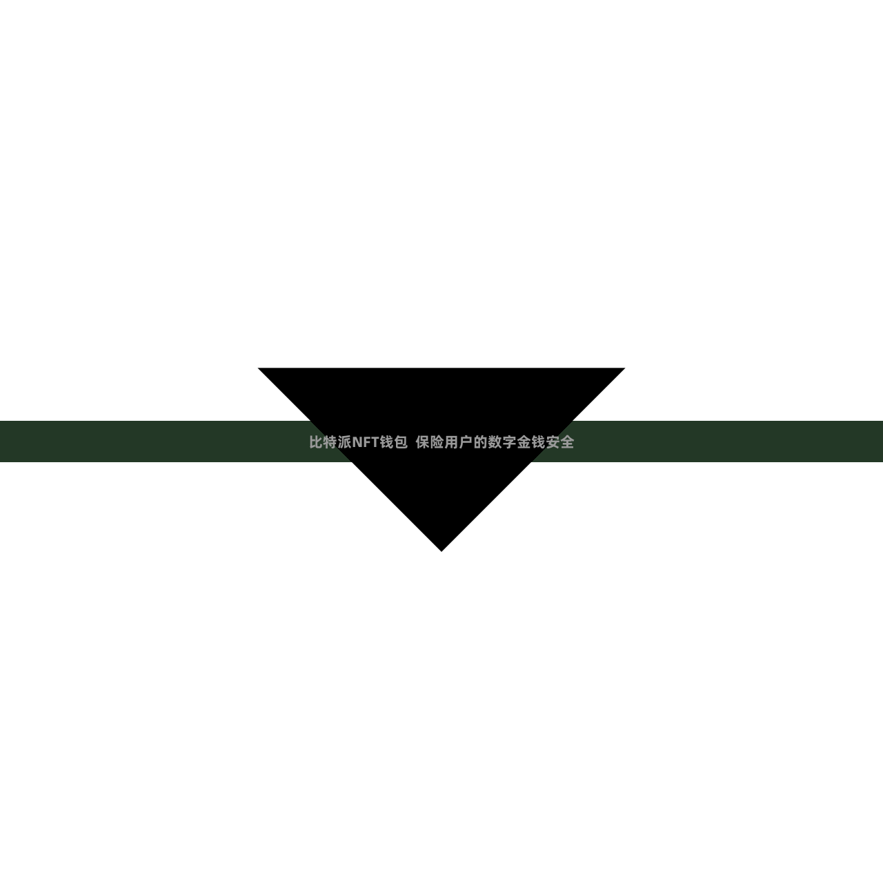 比特派NFT钱包  保险用户的数字金钱安全
