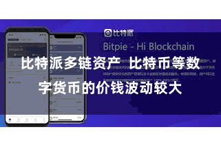 比特派多链资产  比特币等数字货币的价钱波动较大